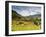 Inca Terraces, Pisac, Sacred Valley, Cusco Region, Peru, South America-Karol Kozlowski-Framed Photographic Print