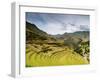 Inca Terraces, Pisac, Sacred Valley, Cusco Region, Peru, South America-Karol Kozlowski-Framed Photographic Print