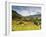 Inca Terraces, Pisac, Sacred Valley, Cusco Region, Peru, South America-Karol Kozlowski-Framed Photographic Print