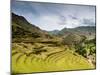 Inca Terraces, Pisac, Sacred Valley, Cusco Region, Peru, South America-Karol Kozlowski-Mounted Photographic Print