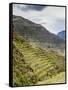 Inca Terraces, Pisac, Sacred Valley, Cusco Region, Peru, South America-Karol Kozlowski-Framed Stretched Canvas