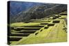 Inca Terracing, Chinchero, Peru, South America-Peter Groenendijk-Stretched Canvas