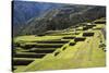 Inca Terracing, Chinchero, Peru, South America-Peter Groenendijk-Stretched Canvas