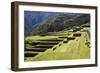 Inca Terracing, Chinchero, Peru, South America-Peter Groenendijk-Framed Photographic Print