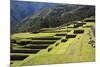 Inca Terracing, Chinchero, Peru, South America-Peter Groenendijk-Mounted Photographic Print