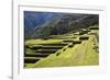 Inca Terracing, Chinchero, Peru, South America-Peter Groenendijk-Framed Photographic Print