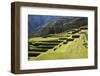 Inca Terracing, Chinchero, Peru, South America-Peter Groenendijk-Framed Photographic Print