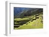 Inca Terracing, Chinchero, Peru, South America-Peter Groenendijk-Framed Photographic Print