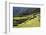 Inca Terracing, Chinchero, Peru, South America-Peter Groenendijk-Framed Photographic Print