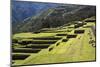 Inca Terracing, Chinchero, Peru, South America-Peter Groenendijk-Mounted Photographic Print