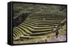 Inca Terracing in the Sacred Valley, Pissac, Peru, South America-Peter Groenendijk-Framed Stretched Canvas