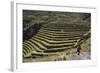 Inca Terracing in the Sacred Valley, Pissac, Peru, South America-Peter Groenendijk-Framed Photographic Print