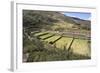 Inca Terracing, Tipon, the Sacred Valley, Peru, South America-Peter Groenendijk-Framed Photographic Print