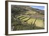 Inca Terracing, Tipon, the Sacred Valley, Peru, South America-Peter Groenendijk-Framed Photographic Print