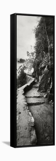 Inca Trail at the Mountainside, Machu Picchu, Cusco Region, Peru-null-Framed Stretched Canvas