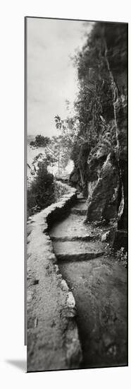 Inca Trail at the Mountainside, Machu Picchu, Cusco Region, Peru-null-Mounted Photographic Print