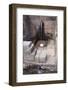 Inca Waterworks, a Masterpiece of Engineering, Tipon, Peru, South America-Peter Groenendijk-Framed Photographic Print