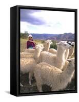 Inca Woman in Costume with Llamas, Cuzco, Peru-Bill Bachmann-Framed Stretched Canvas