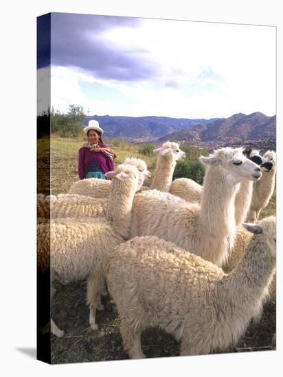 Inca Woman in Costume with Llamas, Cuzco, Peru-Bill Bachmann-Stretched Canvas