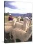 Inca Woman in Costume with Llamas, Cuzco, Peru-Bill Bachmann-Stretched Canvas