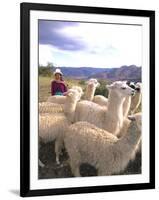 Inca Woman in Costume with Llamas, Cuzco, Peru-Bill Bachmann-Framed Photographic Print