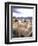 Inca Woman in Costume with Llamas, Cuzco, Peru-Bill Bachmann-Framed Premium Photographic Print