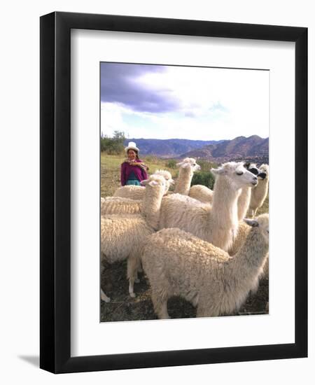 Inca Woman in Costume with Llamas, Cuzco, Peru-Bill Bachmann-Framed Premium Photographic Print