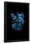 Essential Black