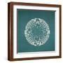Brown Frame