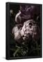Essential Black