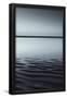 Essential Black