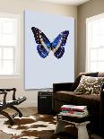 Blue Butterfly-Incado None-Loft Art