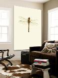 Blue Butterfly-Incado None-Loft Art