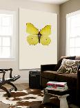 Blue Butterfly-Incado None-Loft Art