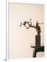 Gramercy White
