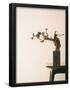Essential Black