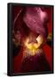 Essential Black