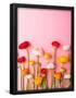 Essential Black