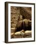 Incan Ruins, Machu Picchu, Peru-Alison Jones-Framed Photographic Print