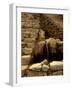 Incan Ruins, Machu Picchu, Peru-Alison Jones-Framed Photographic Print