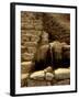 Incan Ruins, Machu Picchu, Peru-Alison Jones-Framed Photographic Print