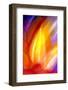 Incandescence-Douglas Taylor-Framed Photographic Print