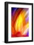 Incandescence-Douglas Taylor-Framed Photographic Print