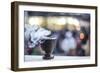 Incense burning at a Hindu temple in New Delhi, India, Asia-Matthew Williams-Ellis-Framed Photographic Print