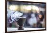 Incense burning at a Hindu temple in New Delhi, India, Asia-Matthew Williams-Ellis-Framed Premium Photographic Print