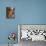 Incense Cones Hung From the Ceiling, Man Mo Temple, Sheung Wan, Hong Kong, China, Asia-null-Mounted Photographic Print displayed on a wall