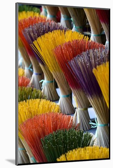 Incense Maker, Incense Sticks Drying, Hue, Thua Thien Hue Province, Vietnam-Nathalie Cuvelier-Mounted Photographic Print