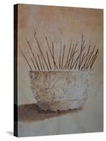 Incense Sticks-Lincoln Seligman-Stretched Canvas