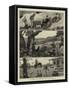 Incidents in a Settler's Life in Australia-null-Framed Stretched Canvas