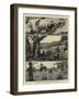 Incidents in a Settler's Life in Australia-null-Framed Giclee Print